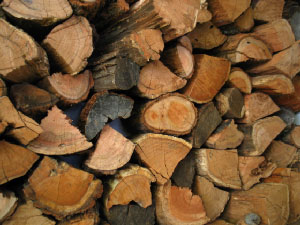 Cheminee fireplaces firewood supplier